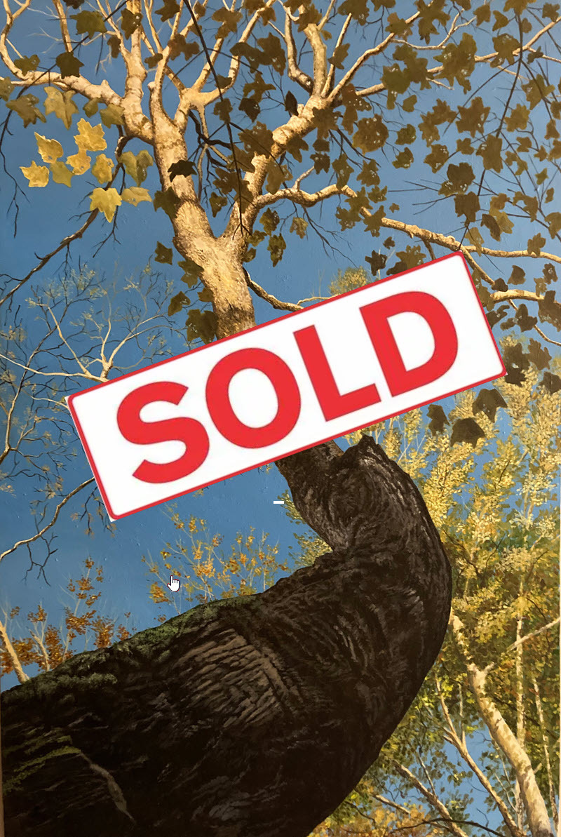 Jim Kaelin's "Soaring Sycamore" SOLD